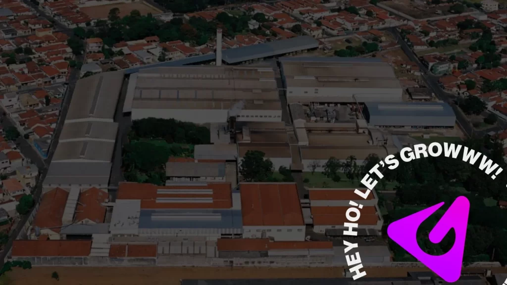 Como a Tapetes São Carlos multiplicou sua receita em 50X com transformação digital